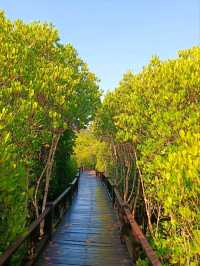 วนอุทยานปราณบุรี