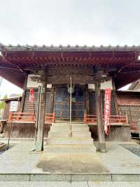 【埼玉県】秋の八角円堂前は銀杏の実が凄い！