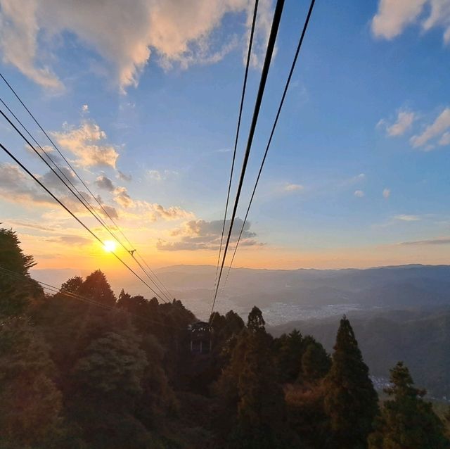 京都比叡山森林纜車，穿梭林間的美景之旅