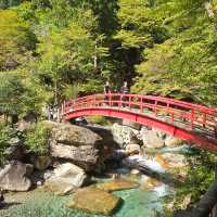 Trip to Nagoya
