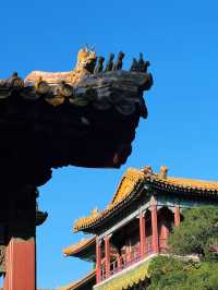Forbidden City's beauty in autumn