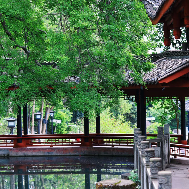流花湖公園：自然與靜謐的完美結合 🌼