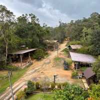 Elephant Encounters and Jungle Fun: My Day at Kenyir Elephant Conservation Village!