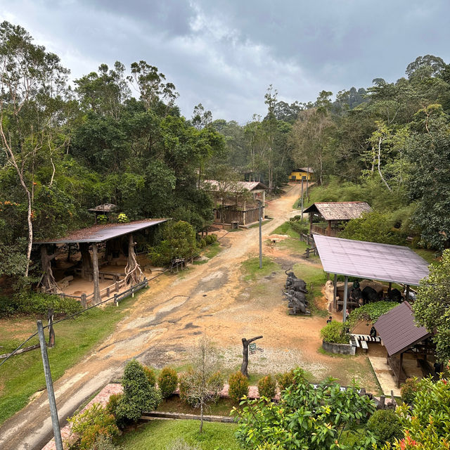 Elephant Encounters and Jungle Fun: My Day at Kenyir Elephant Conservation Village!