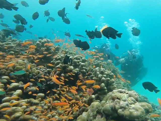 Snorkeling on rubiah island