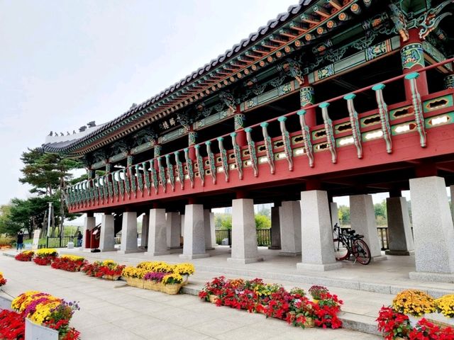 계양아라온 수향원 국화축제 나들이❣️