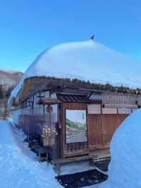 【福島】かまくらで冬を楽しもう!!