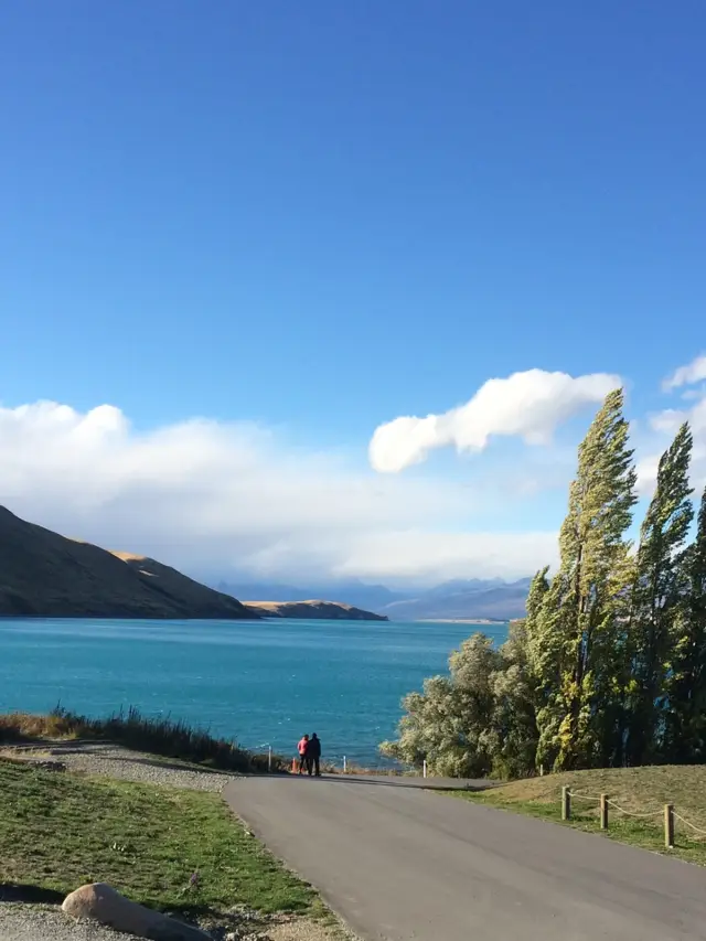 【ニュージーランド🇳🇿】絶対訪れてほしい観光スポット〜テカポ湖〜