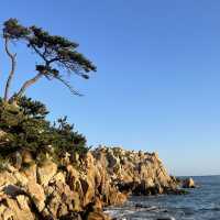 울산에서 제일 멋진 곳!