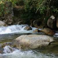 Bukit Kutu: A Challenging Yet Rewarding Day Hike in Selangor Malaysia 