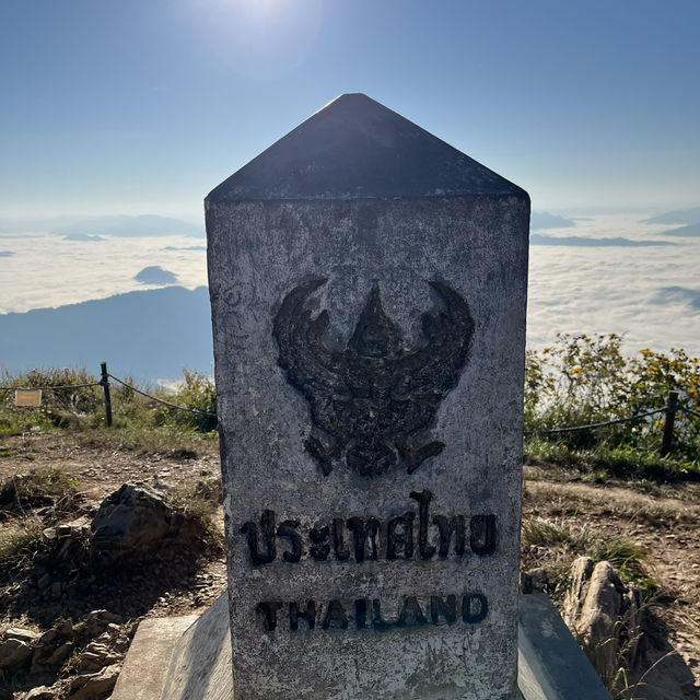 มาแอ่วเหนือที่ ภูชี้ฟ้า ⛅️⛰️ จังหวัดเชียงรายกันจ้า