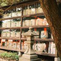 吉原神社🌅銀杏樹下的靜謐之美 🍂⛩️
