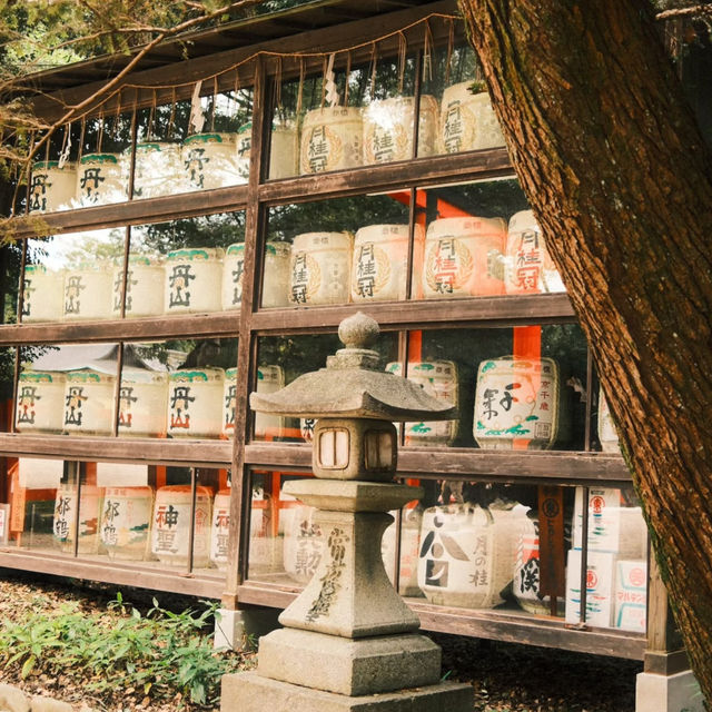 吉原神社🌅銀杏樹下的靜謐之美 🍂⛩️