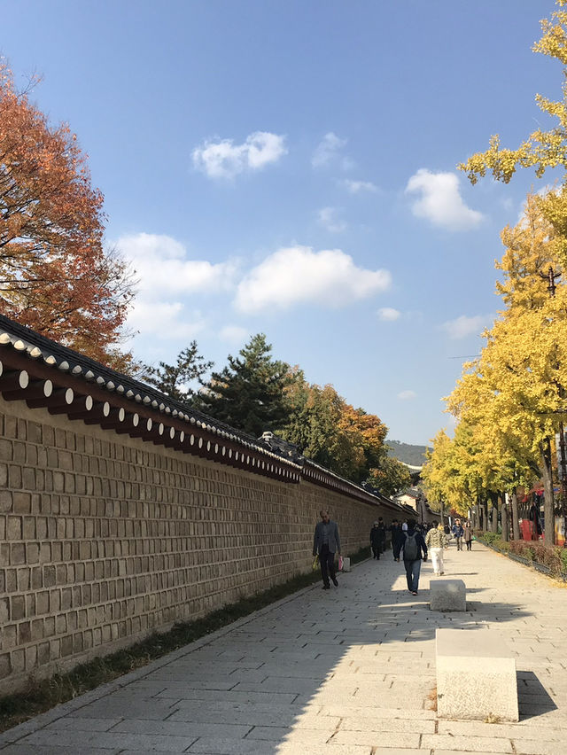 🇰🇷首爾紅葉 🍁市中心也有這麼漂亮的地方？🍂來這裡就夠！