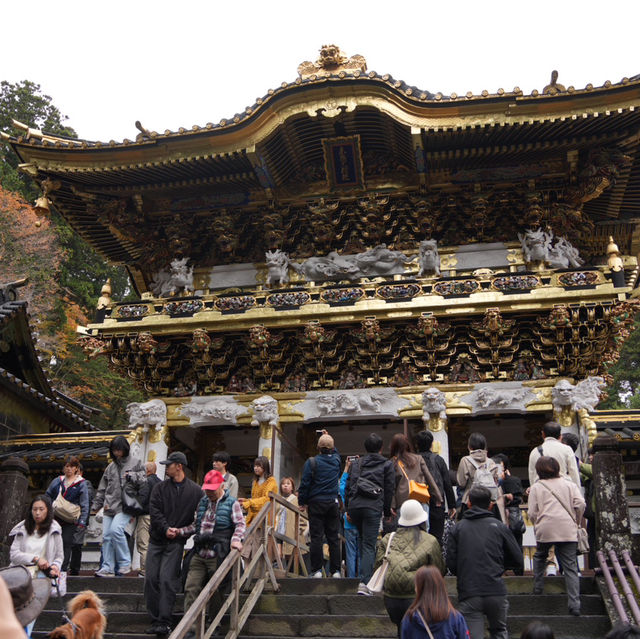 【栃木/日光】紅葉も美しい日光東照宮