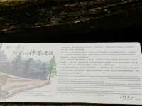阿里山神木遺跡✨歷史與自然的交融✨