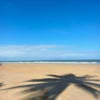 Discover the Tropical Charm of Mission Beach, Queensland