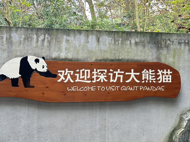 it's PANDA time !!!