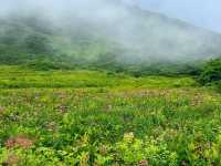 Thrilling Adventures at Happoone Hakuba