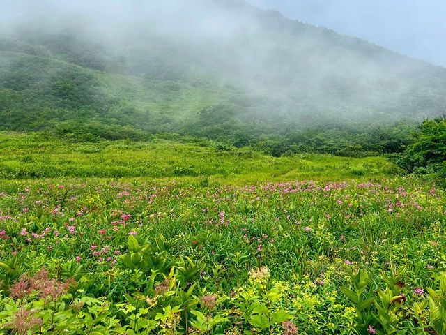 Thrilling Adventures at Happoone Hakuba