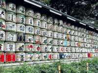 Tranquil Exploration at Meiji Jingu