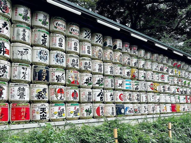 Tranquil Exploration at Meiji Jingu