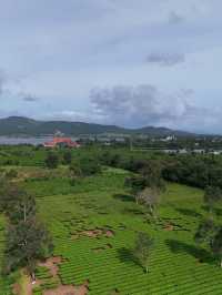 Gia lai city
