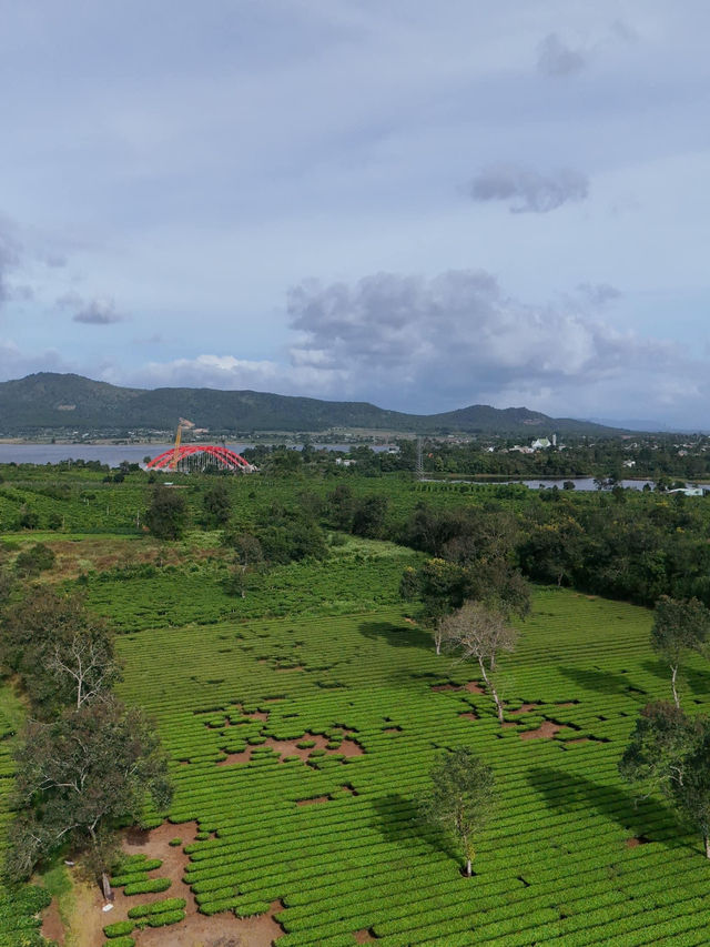 Gia lai city