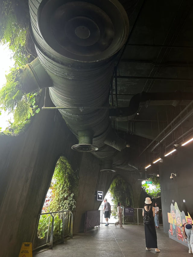 Have fun at cloud forest Singapore ❤️