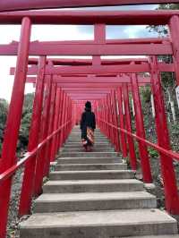 山口観光⛩️山口県屈指のパワースポット⛩️元乃隅神社🦊