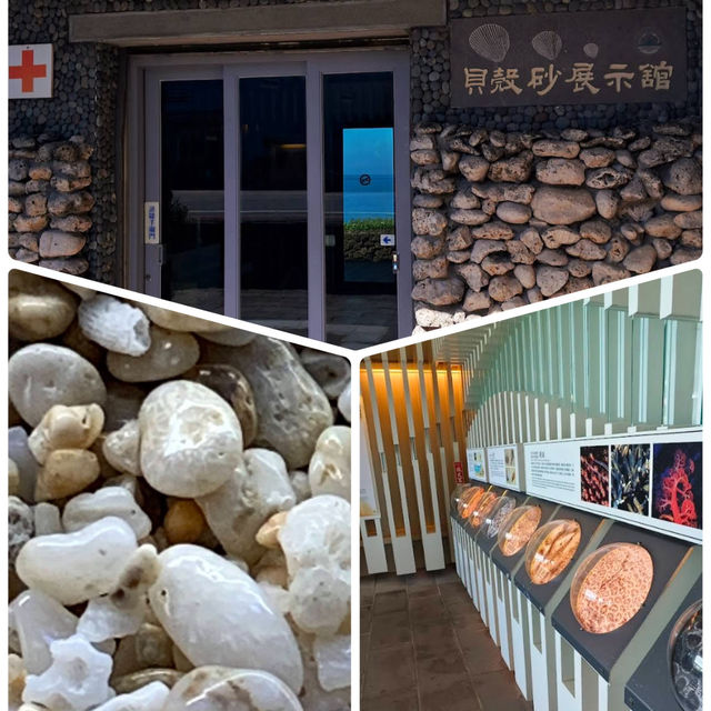 沙島貝殼沙展示館：探索沙灘的奇妙世界