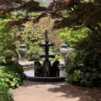 สวนที่สวยอันดับ 2 ในออสเตรเลีย Forest Glade Garden