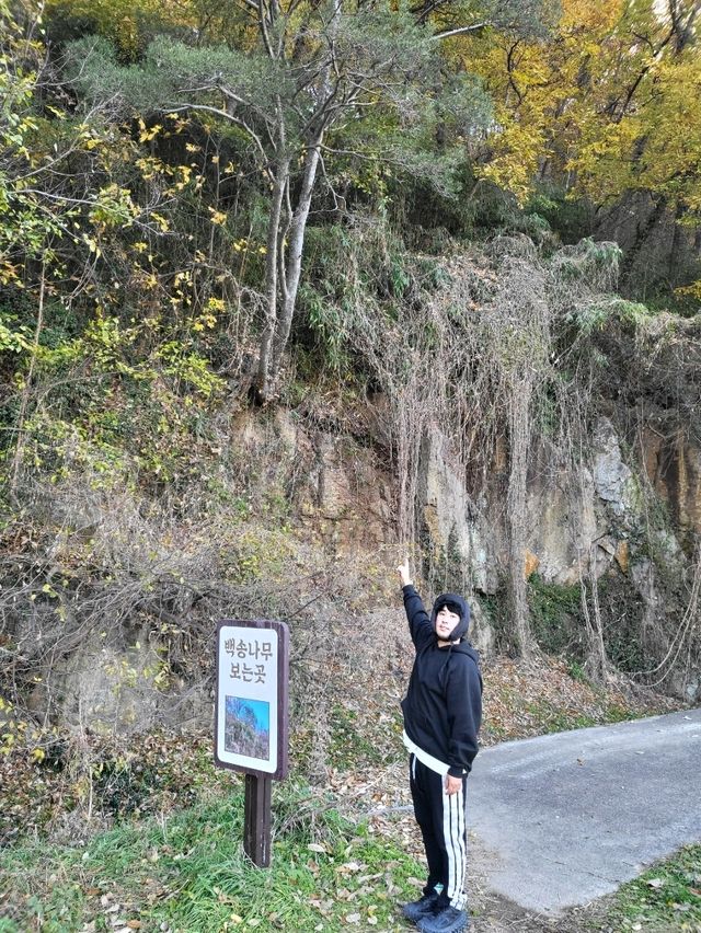아직 가을을 더 즐기는 밀양 추천여행지
