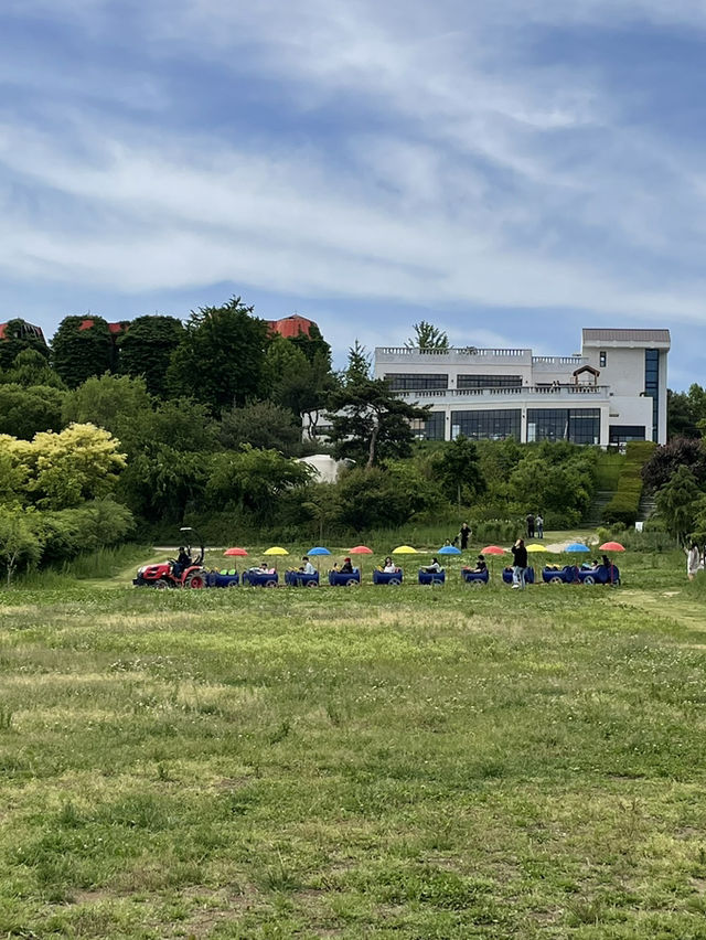 당진 근처 푸릇한🌱목장! 아그로랜드 태신목장