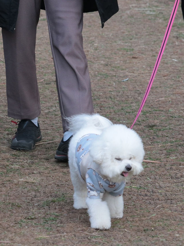 พักผ่อนหย่อนใจที่สวนสาธารณะฮานึล