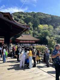 พาตะลอนวัดน้ำใส✨ Kiyomizu-dera