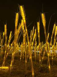 Light in the Garden แสงในสวนสวยครั้งแรกจันทบุรี