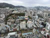 富山の景色を一望