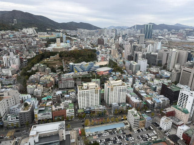 富山の景色を一望