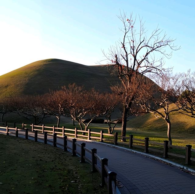 韓國慶州_Walking in Gyeongju 慶洲散策