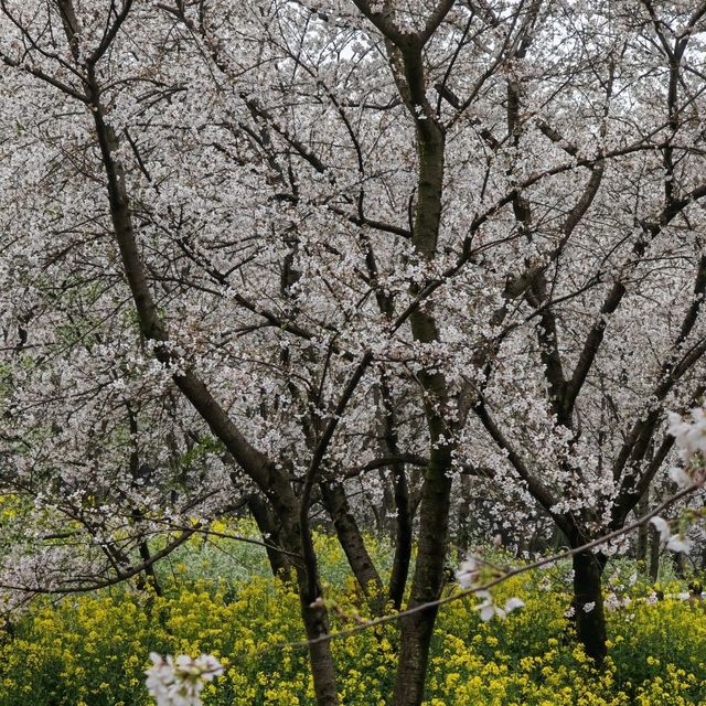 WuXi - Great escape from crowded Suzhou