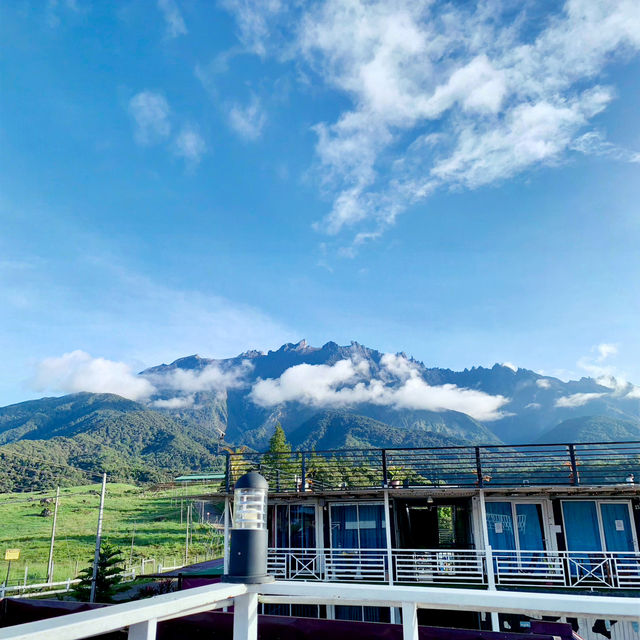 Solo Adventures in The Heart of Kundasang's Dairy Heaven