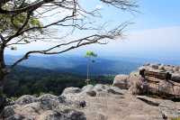 ภูหินร่องกล้า