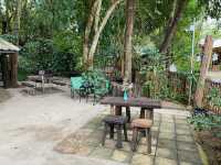 Hoklhong Cafe | ฮกหลง คาเฟ่ เชียงดาว