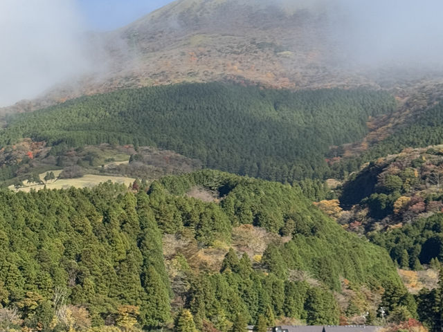 ✨ 芦ノ湖（あしのこ）：箱根を象徴する絶景スポット