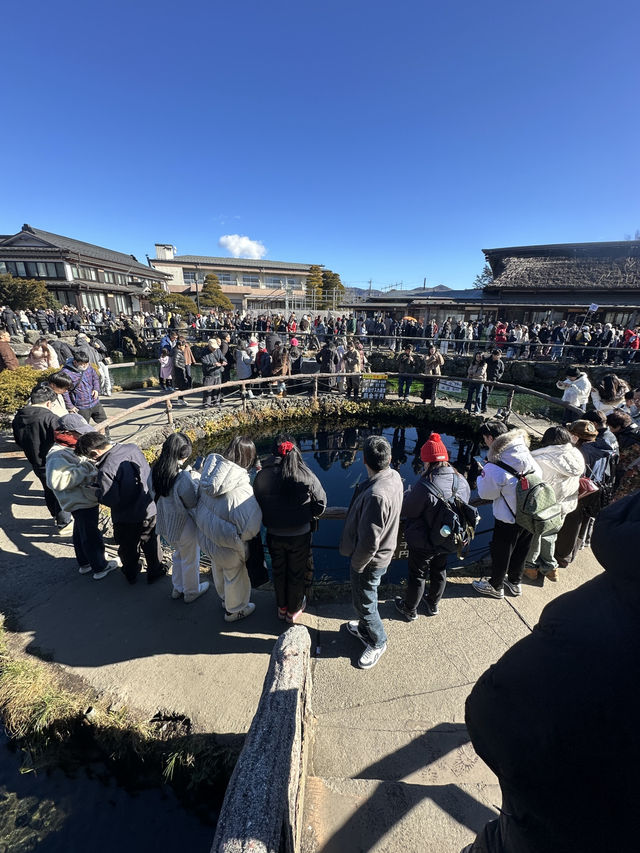 🇯🇵忍野八海｜遊富士山融雪湧泉🏔️