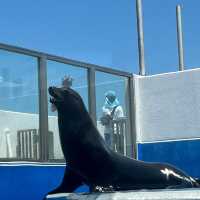 小而美的水族館