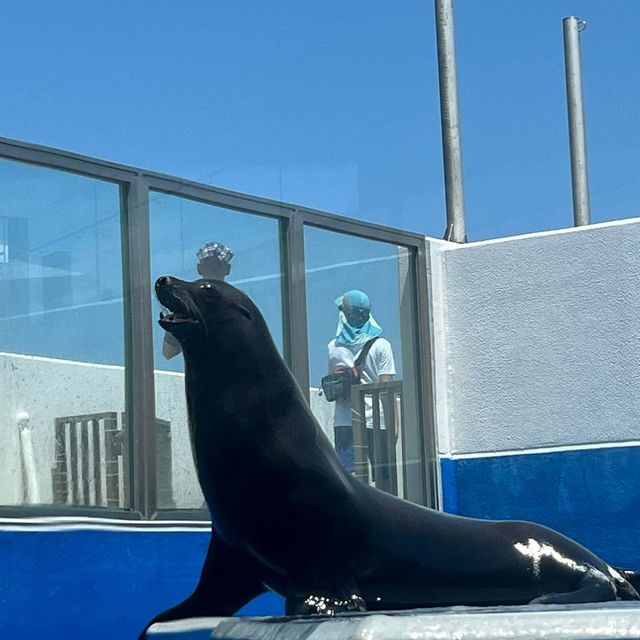 小而美的水族館