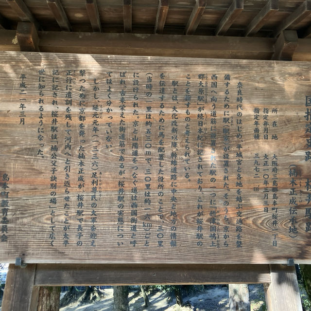 初日の出:天下分け目の天王山旗立松展望台