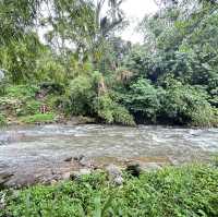 Family Day trip to Cimory Dairyland, Bogor